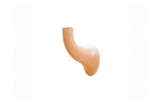 WG062 Handrail Handle